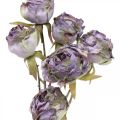 Floristik24 Rose Gren Siden Blomma Bord Dekoration Konst Rose Lila Antik L53cm