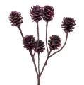 Floristik24 Salignum grenar med kottar Berry 25st