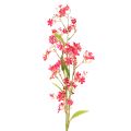 Floristik24 Konstgjord blommande gren Oncidium orkidédekoration 112cm 3st