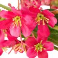Konstgjord blommande gren Oncidium orkidédekoration 112cm 3st | Floristik24.se