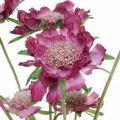Floristik24 Skabb konstgjord blomma rosa sommarblomma H64cm knippe om 3st
