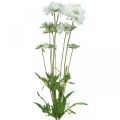 Floristik24 Skabb konstgjord blomma vit trädgårdsblomma H64cm knippe med 3st