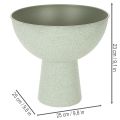 Skål med stativ för växter, dekorativ skål, 25 cm | Floristik24.se