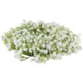 Floristik24 Gypsophila krans vit blomkrans bröllop Ø30cm