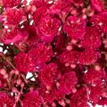 Konstgjord blomsterkrans, dekoration med babyandning, 30 cm | Floristik24.se