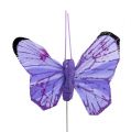 Floristik24 Butterfly 5cm rosa-lila röv. 24st