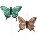 Dekorativa fjärilar, vårdekoration, fjäderfjärilar, plantpluggar gröna, bruna 9,5×12,5cm 12st