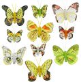 Floristik24 Fjärilar med klämma 5cm - 7cm diverse 10st