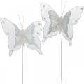 Floristik24 Fjärilar med pärlor och glimmer, bröllopsdekorationer, fjäderfjärilar på vit tråd