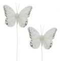 Floristik24 Fjärilar vita 8 cm med glimmer 6st