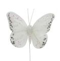 Floristik24 Fjärilar vita 8 cm med glimmer 6st