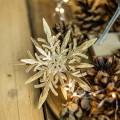 Floristik24 Snowflake 3D effekt guld 16cm x 15,5cm 2st