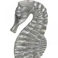 Floristik24 Sjöhäst att placera, havsdekoration av metall, maritim skulptur silver, naturliga färger H22cm