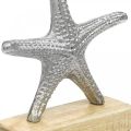 Floristik24 Metall sjöstjärnor, maritim dekoration, dekorativ skulptur silver, naturliga färger H18cm