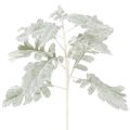 Floristik24 Konstgjord Senecio-gren, silverblad, intrikat tillverkad, 45 cm, 3 stycken