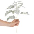 Konstgjord Senecio-gren, silverblad, intrikat tillverkad, 45 cm, 3 stycken | Floristik24.se