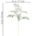 Konstgjord Senecio-gren, silverblad, intrikat tillverkad, 45 cm, 3 stycken | Floristik24.se