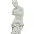 Floristik24 Venus staty dekorativ skulptur H29cm gråbrun dekorativ figurträdgård