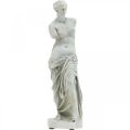 Floristik24 Venus staty dekorativ skulptur H29cm gråbrun dekorativ figurträdgård