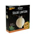 Floristik24 Lantern LED med sol 20cm vit