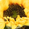 Konstgjord solros med realistiska blad och blommor, 58 cm, 3 stycken | Floristik24.se