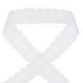 Floristik24 Spetsband hjärtan dekorativt band spets vit 25mm 15m