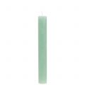 Floristik24 Taper Candles Enfärgade Ljusgröna 34mm x 240mm 4 st