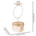 Ljusstake med björkträfot och metallring, 20 cm | Floristik24.se