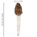 Konstgjord murkelsvamp dekorativ påle för krukor och bord, 13 cm, 2 stycken | Floristik24.se