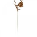 Floristik24 Patina trädgårdsdekoration plugg metall fågel med krona 6 stycken