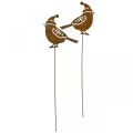 Floristik24 Trädgårdsstakefågel med mössa patina dekoration 12cm 6st
