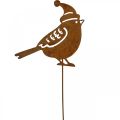 Floristik24 Trädgårdsstakefågel med mössa patina dekoration 12cm 6st