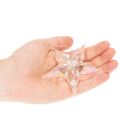 Dekorativa stjärndekorationer, skimrande klar akryl, julgransdekorationer, 9 cm, 6 stycken | Floristik24.se