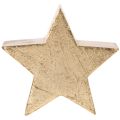 Dekorativt julstjärneställ för bord eller hylla, 10 cm, 3 stycken | Floristik24.se