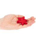 Liten dekorativ stjärna, flockad prydnad, 5 cm, 40 stycken | Floristik24.se