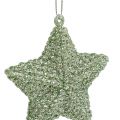 Floristik24 Stjärna med glimmergrön 7,5 cm 12st