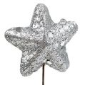Floristik24 Stjärna med glitter silver 3,5 cm 12st