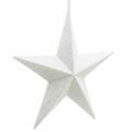 Floristik24 Glitterstjärnor att hänga vita Ø21cm 3st