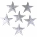 Floristik24 Dekorativa stjärnor silver 4cm 12st