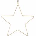 Floristik24 Dekorativ stjärna att hänga gyllene metall Ø50,5cm 2st