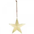 Floristik24 Guldstjärna, adventsdekoration, dekorationshänge till jul 12×13cm 2st