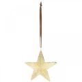 Floristik24 Stjärnor att hänga, metalldekorationer, julgransdekorationer gyllene 9,5 × 9,5cm 3st