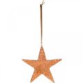 Floristik24 Dekorativ stjärna att hänga, adventsdekoration, metallhängen kopparfärgade 12 × 13cm 3st