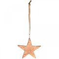 Floristik24 Kopparstjärna att hänga, julgransdekoration, metallhängen 8 × 9cm 2st