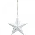 Floristik24 Stjärna att hänga, julgransdekorationer, metalldekoration vit 19,5 × 18,5 cm