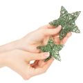 Dekorativt set med gröna trådstjärnor, två storlekar, 10 cm, 12 delar | Floristik24.se