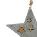 Floristik24 Julstjärnor att hänga i betong grå-guld 11,5 cm 3st