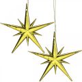 Floristik24 Juldekoration stjärnhänge gyllene B11,5cm 16st