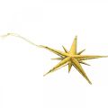 Floristik24 Juldekoration stjärnhänge gyllene B11,5cm 16st