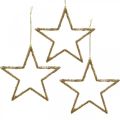 Floristik24 Glitterstjärnor, adventsdekorationer, stjärndekorationer att hänga, juldekorationer gyllene 11,5 × 12cm 12st